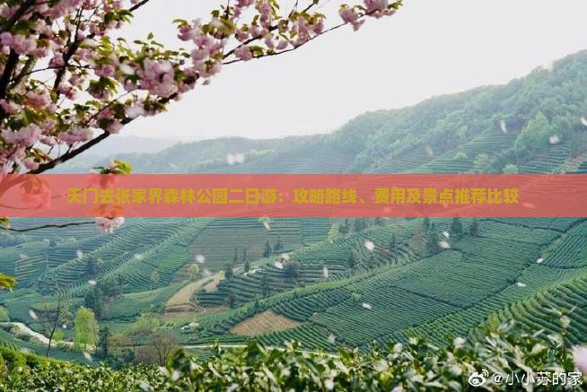 天门去张家界森林公园二日游：攻略路线、费用及景点推荐比较