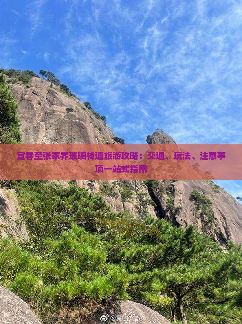 宜春至张家界玻璃栈道旅游攻略：交通、玩法、注意事项一站式指南