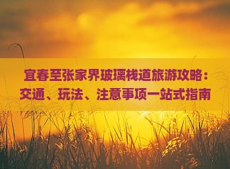 宜春至张家界玻璃栈道旅游攻略：交通、玩法、注意事项一站式指南