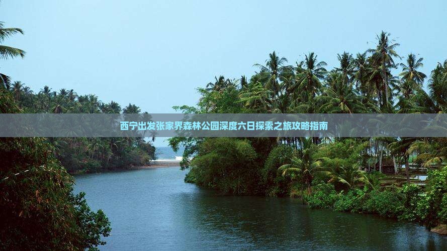 西宁出发张家界森林公园深度六日探索之旅攻略指南