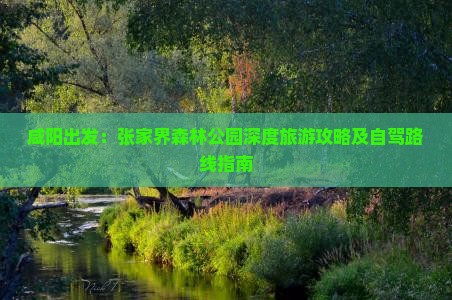 咸阳出发：张家界森林公园深度旅游攻略及自驾路线指南