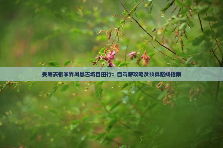 娄底去张家界凤凰古城自由行：自驾游攻略及预算路线指南