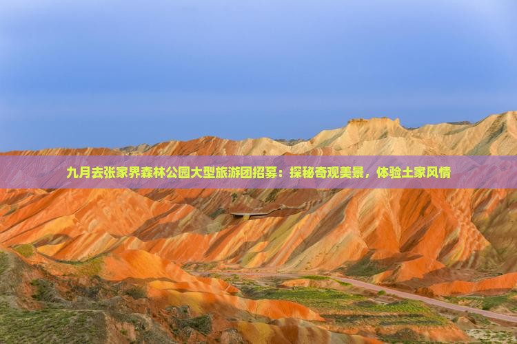 九月去张家界森林公园大型旅游团招募：探秘奇观美景，体验土家风情