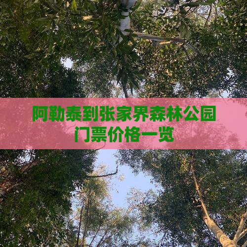 阿勒泰到张家界森林公园门票价格一览