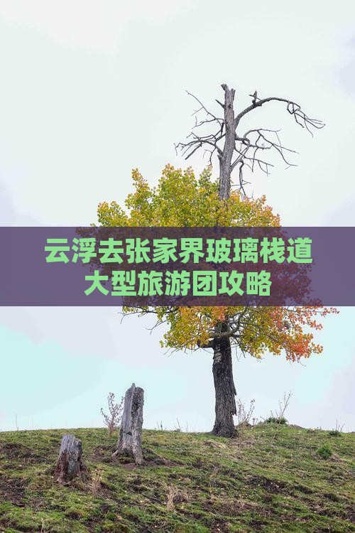 云浮去张家界玻璃栈道大型旅游团攻略