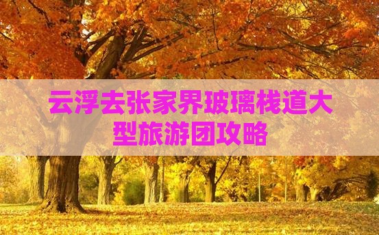 云浮去张家界玻璃栈道大型旅游团攻略