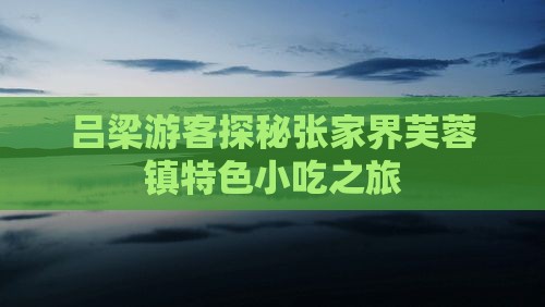 吕梁游客探秘张家界芙蓉镇特色小吃之旅