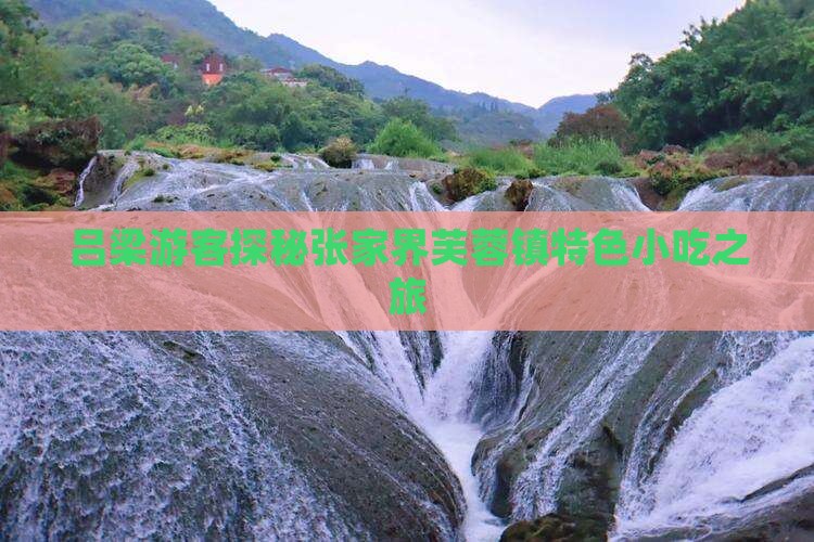 吕梁游客探秘张家界芙蓉镇特色小吃之旅