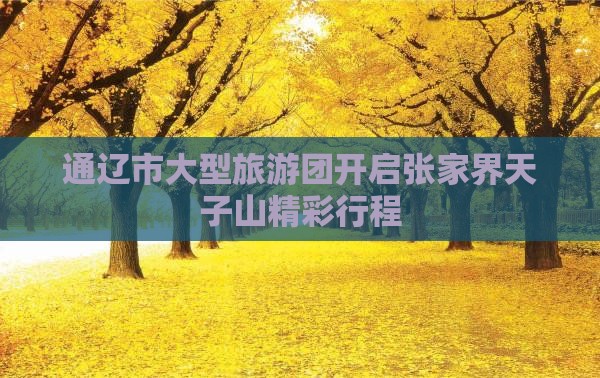 通辽市大型旅游团开启张家界天子山精彩行程