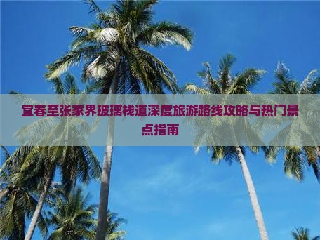 宜春至张家界玻璃栈道深度旅游路线攻略与热门景点指南