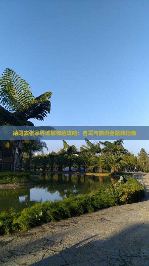 德阳去张家界玻璃栈道攻略：自驾与旅游全路线指南