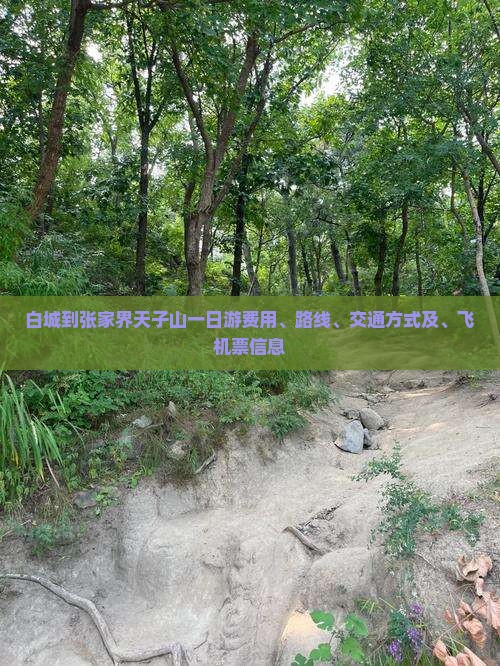 白城到张家界天子山一日游费用、路线、交通方式及、飞机票信息