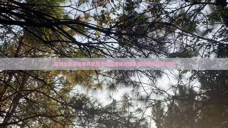 福州出发至张家界凤凰古城深度体验团队游攻略与行程安排