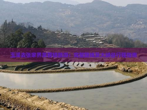 玉溪去张家界芙蓉镇旅游：完整路线及大峡谷行程指南