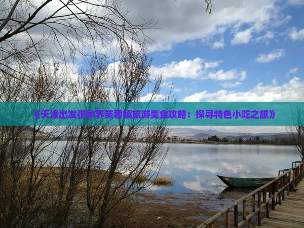 《天津出发张家界芙蓉镇旅游美食攻略：探寻特色小吃之旅》