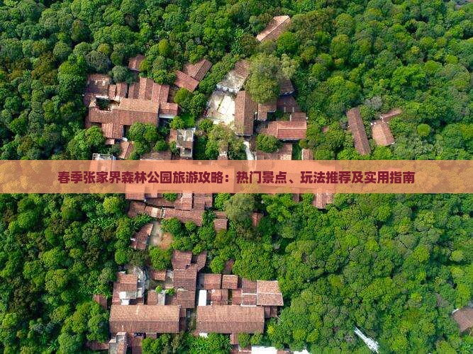 春季张家界森林公园旅游攻略：热门景点、玩法推荐及实用指南