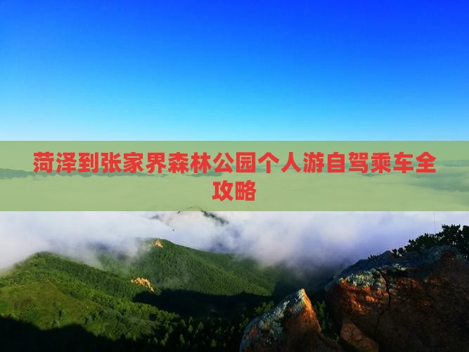 菏泽到张家界森林公园个人游自驾乘车全攻略