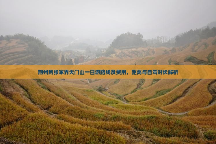 荆州到张家界天门山一日游路线及费用，距离与自驾时长解析