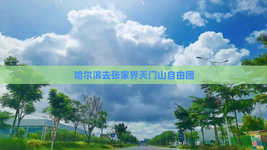 哈尔滨去张家界天门山自由团
