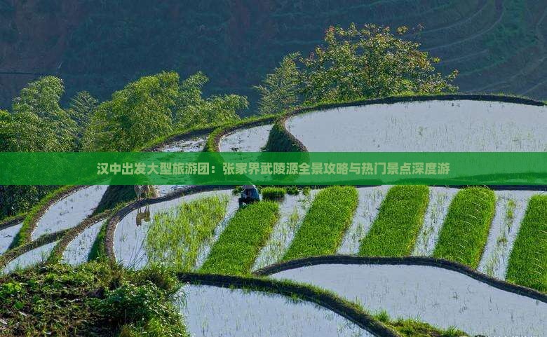 汉中出发大型旅游团：张家界武陵源全景攻略与热门景点深度游