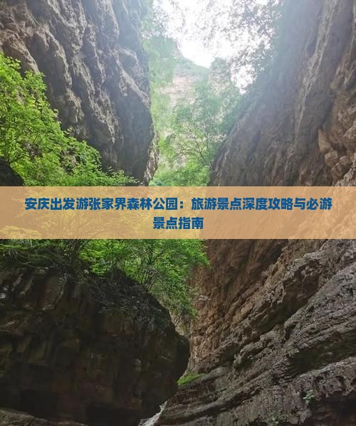 安庆出发游张家界森林公园：旅游景点深度攻略与必游景点指南