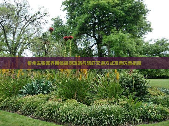 忻州去张家界团体旅游攻略与路虾交通方式及票购票指南