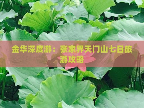 金华深度游：张家界天门山七日旅游攻略