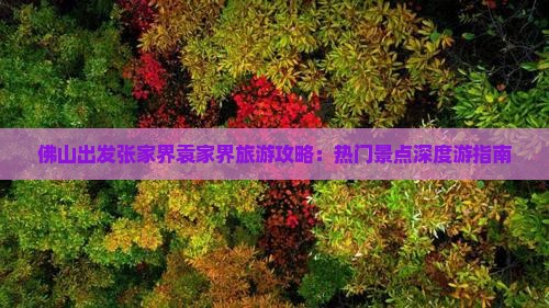 佛山出发张家界袁家界旅游攻略：热门景点深度游指南