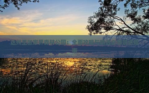 达州至张家界森林公园：全面攻略与精选必游景点指南