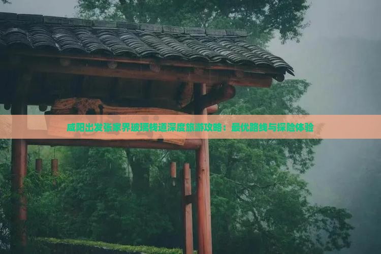 咸阳出发张家界玻璃栈道深度旅游攻略：最优路线与探险体验