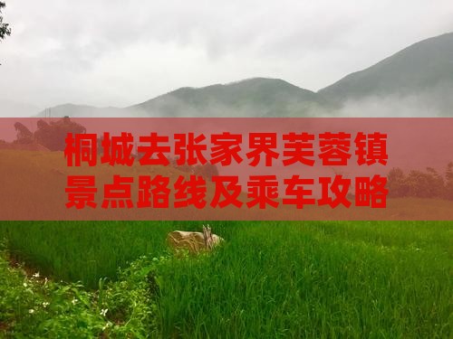 桐城去张家界芙蓉镇景点路线及乘车攻略