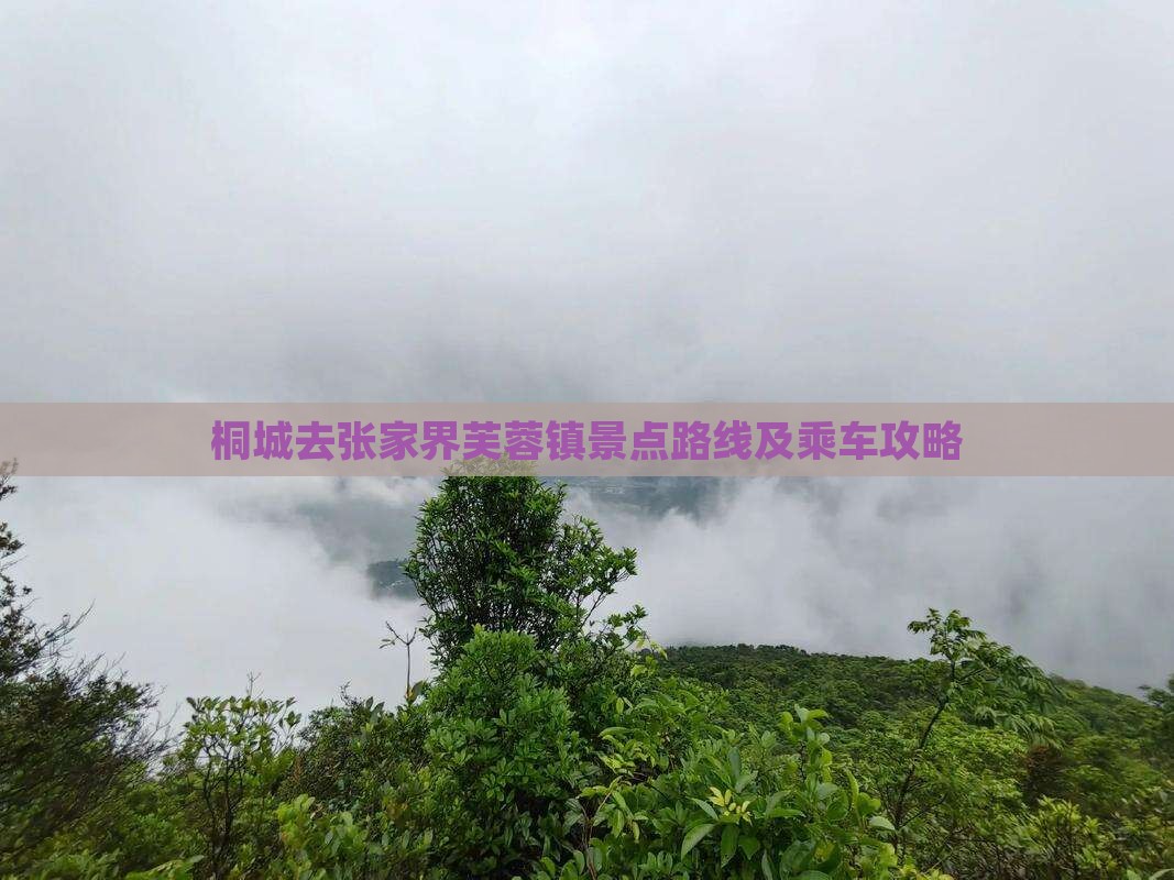 桐城去张家界芙蓉镇景点路线及乘车攻略