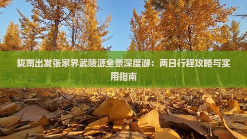 陇南出发张家界武陵源全景深度游：两日行程攻略与实用指南