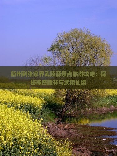 衢州到张家界武陵源景点旅游攻略：探秘神奇峰林与武陵仙境