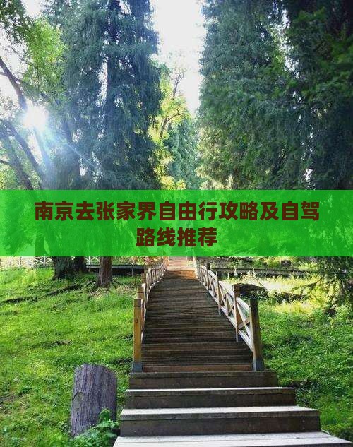 南京去张家界自由行攻略及自驾路线推荐