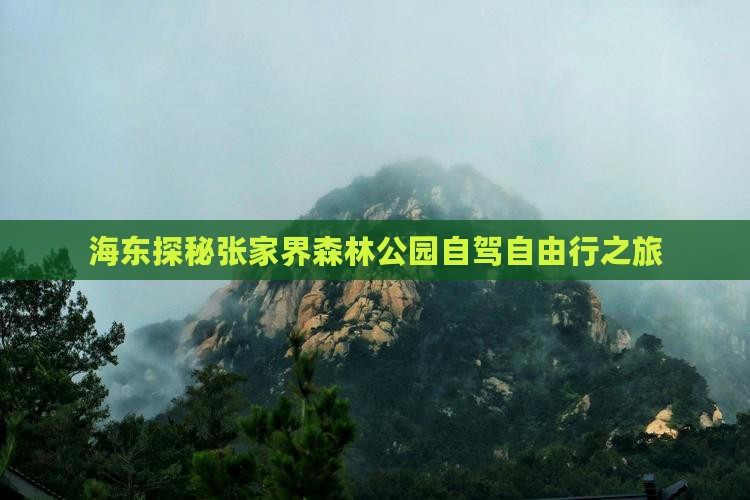 海东探秘张家界森林公园自驾自由行之旅