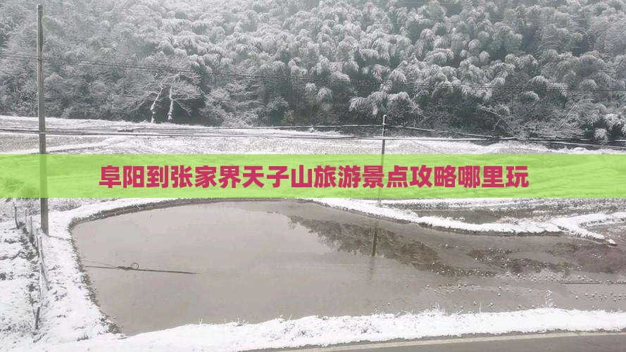 阜阳到张家界天子山旅游景点攻略哪里玩