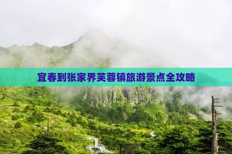 宜春到张家界芙蓉镇旅游景点全攻略