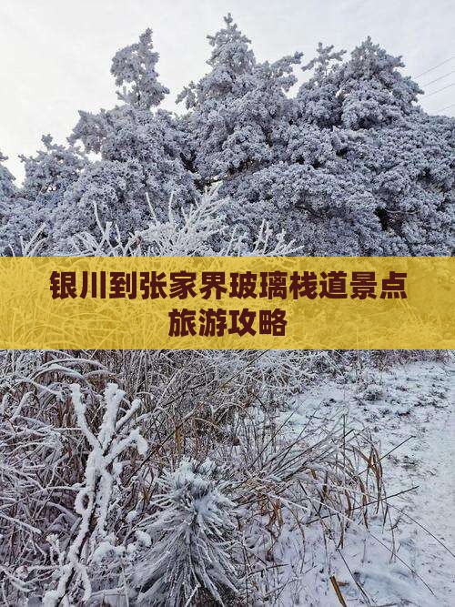 银川到张家界玻璃栈道景点旅游攻略