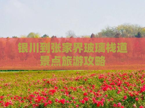 银川到张家界玻璃栈道景点旅游攻略