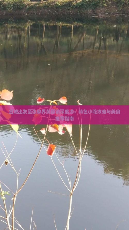 宣城出发至张家界芙蓉镇深度游：特色小吃攻略与美食推荐指南