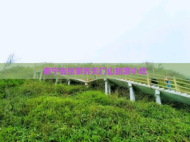 南宁去张家界天门山旅游小吃