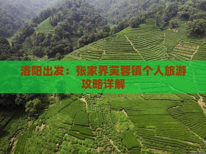 洛阳出发：张家界芙蓉镇个人旅游攻略详解