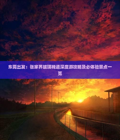 东莞出发：张家界玻璃栈道深度游攻略及必体验景点一览