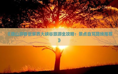 《唐山游客张家界大峡谷旅游全攻略：景点自驾路线推荐》
