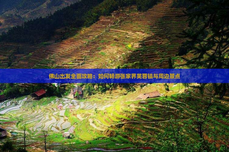 佛山出发全面攻略：如何畅游张家界芙蓉镇与周边景点