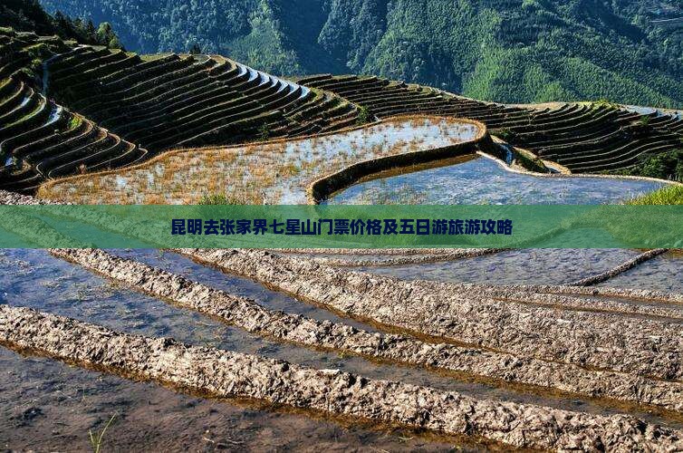 昆明去张家界七星山门票价格及五日游旅游攻略