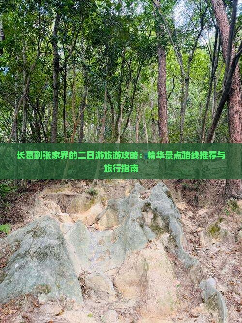 长葛到张家界的二日游旅游攻略：精华景点路线推荐与旅行指南