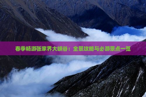 春季畅游张家界大峡谷：全景攻略与必游景点一览