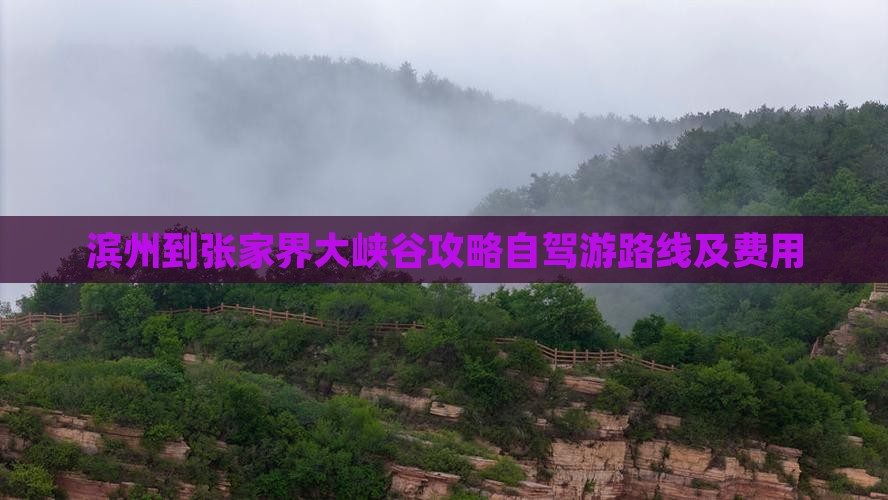 滨州到张家界大峡谷攻略自驾游路线及费用